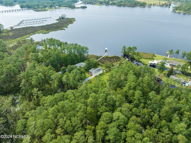 birds eye view of property with a forest view and a water view