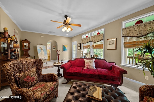 living room featuring crown molding, ceiling fan, and carpet floors