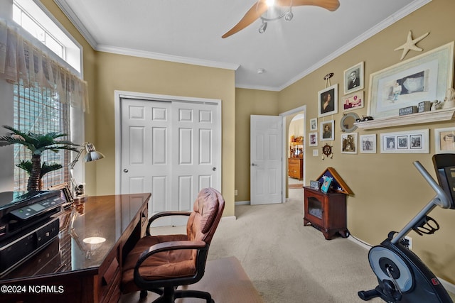 carpeted office featuring ornamental molding and ceiling fan