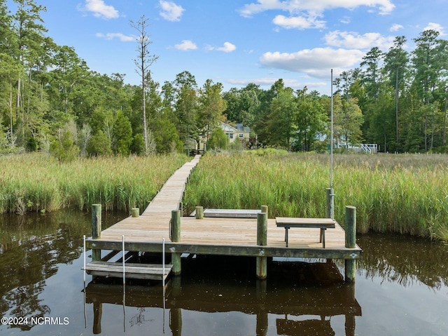 dock area with a water view