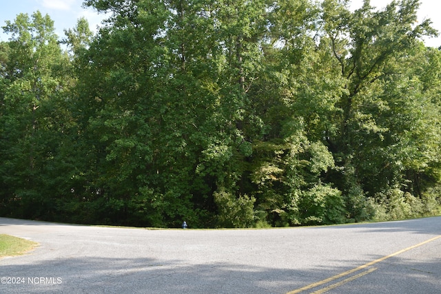 39 Hill Creek Rd, Blounts Creek NC, 27814 land for sale