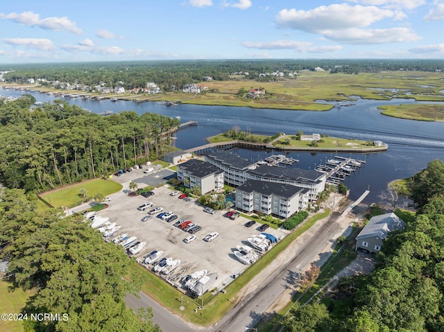 bird's eye view with a water view