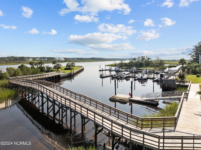 dock area with a water view