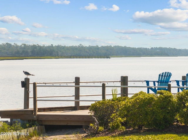 dock area featuring a water view and a view of trees