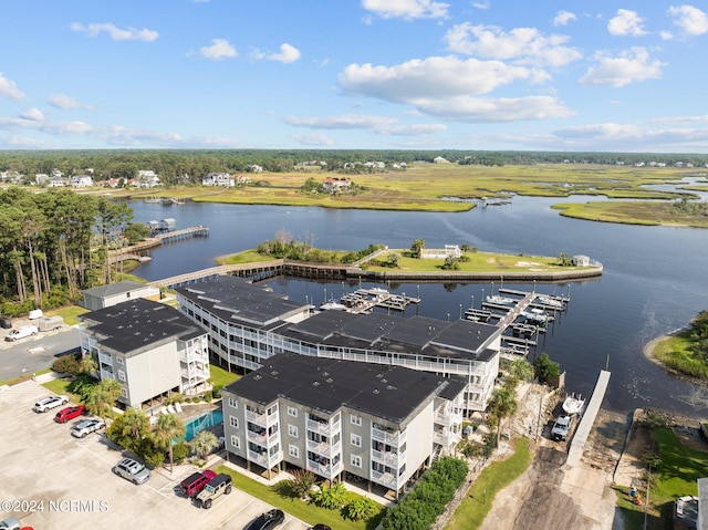 aerial view with a water view