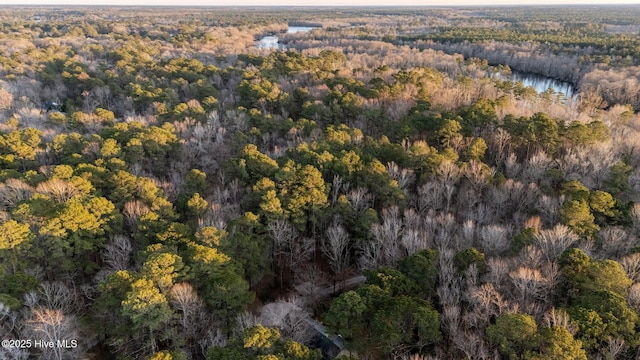 drone / aerial view with a water view and a wooded view