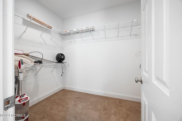 spacious closet with light carpet