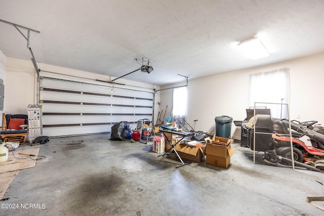 garage with electric panel