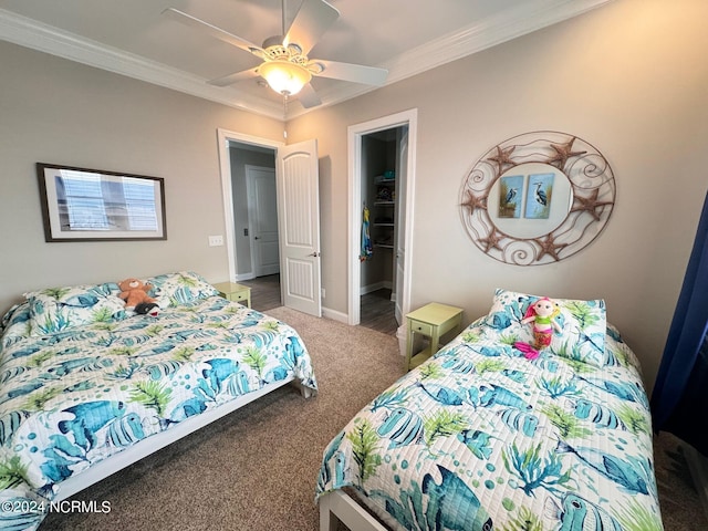 carpeted bedroom with ornamental molding, a walk in closet, ceiling fan, and baseboards