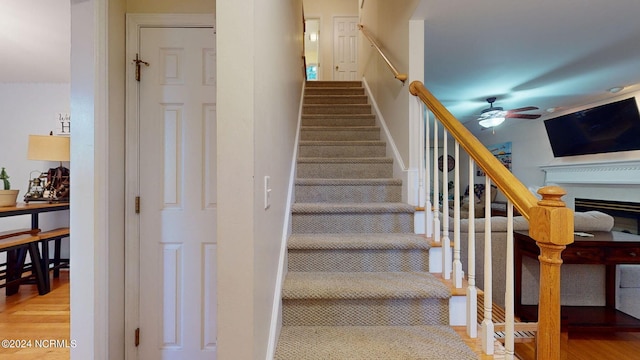 stairs featuring hardwood / wood-style floors and ceiling fan