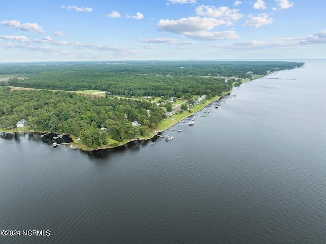 aerial view featuring a water view and a forest view