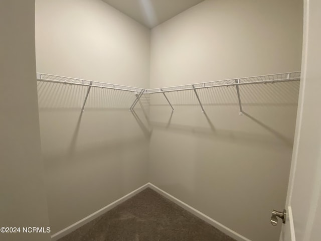 spacious closet with dark carpet