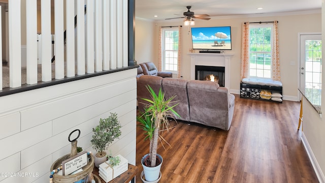 living room with ceiling fan, ornamental molding, and dark hardwood / wood-style floors