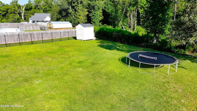 view of yard with a storage shed and a trampoline