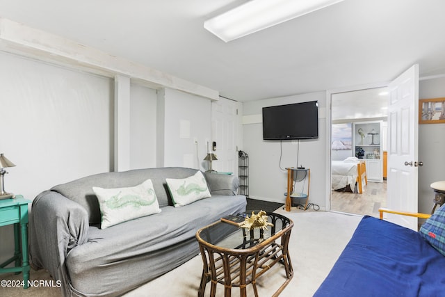 living room with light hardwood / wood-style floors