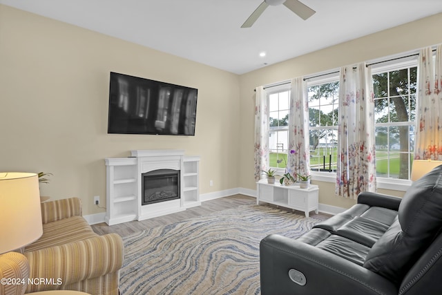 living room with ceiling fan and wood-type flooring