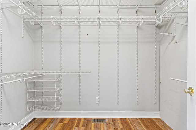 spacious closet featuring wood-type flooring