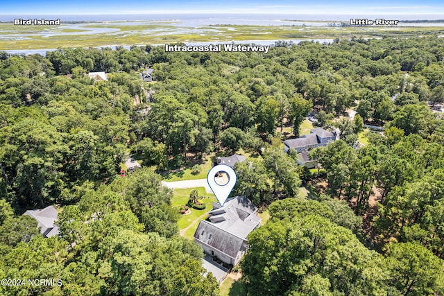 bird's eye view featuring a forest view and a water view