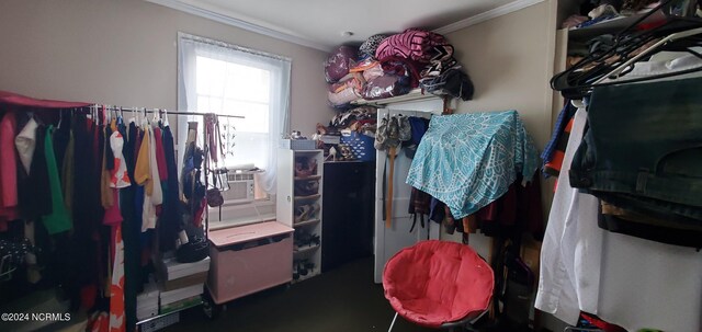 spacious closet featuring cooling unit