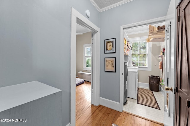 hallway with crown molding, light hardwood / wood-style flooring, and a wealth of natural light