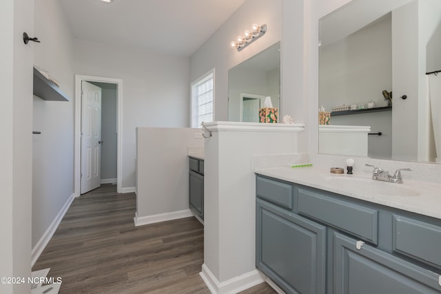 bathroom with hardwood / wood-style flooring and vanity