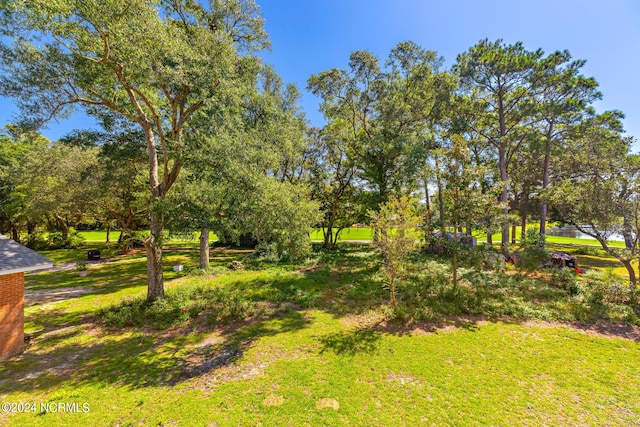 31 Augusta Dr, Oak Island, NC 28465 - view of yard