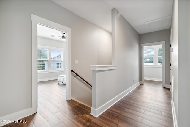 corridor with dark hardwood / wood-style floors