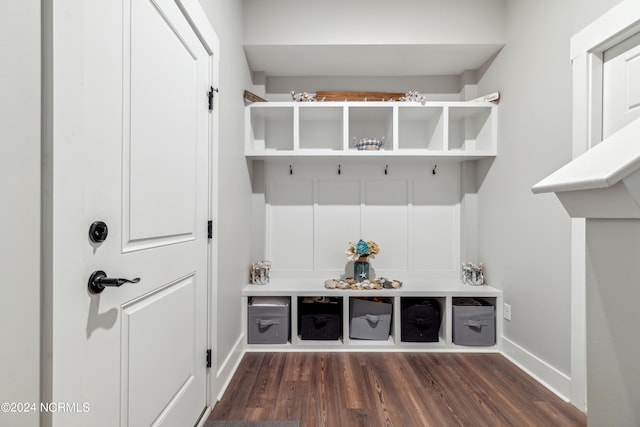 mudroom featuring dark wood-type flooring