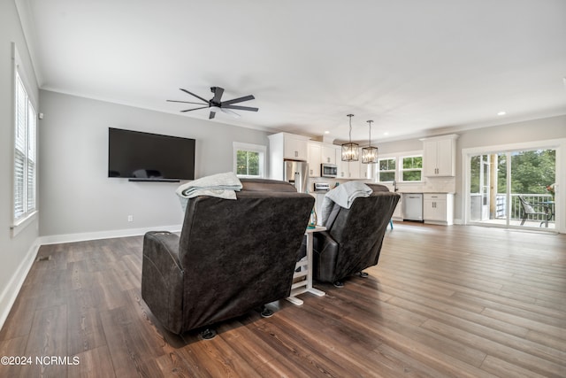 living room featuring ceiling fan with notable chandelier, crown molding, and hardwood / wood-style floors