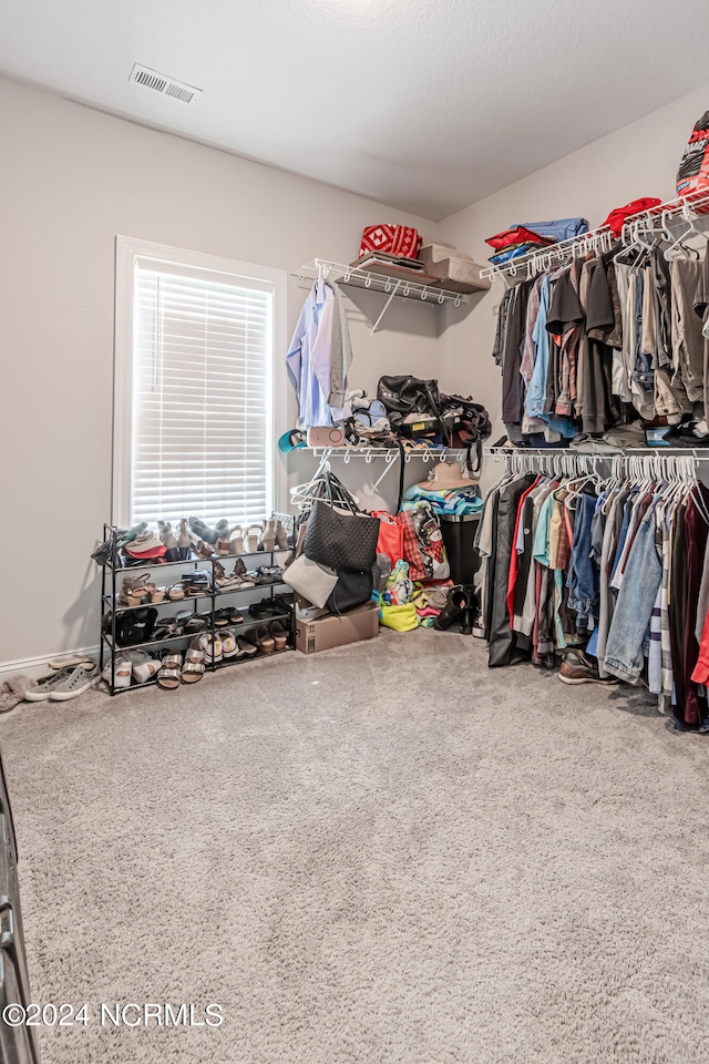 walk in closet featuring carpet