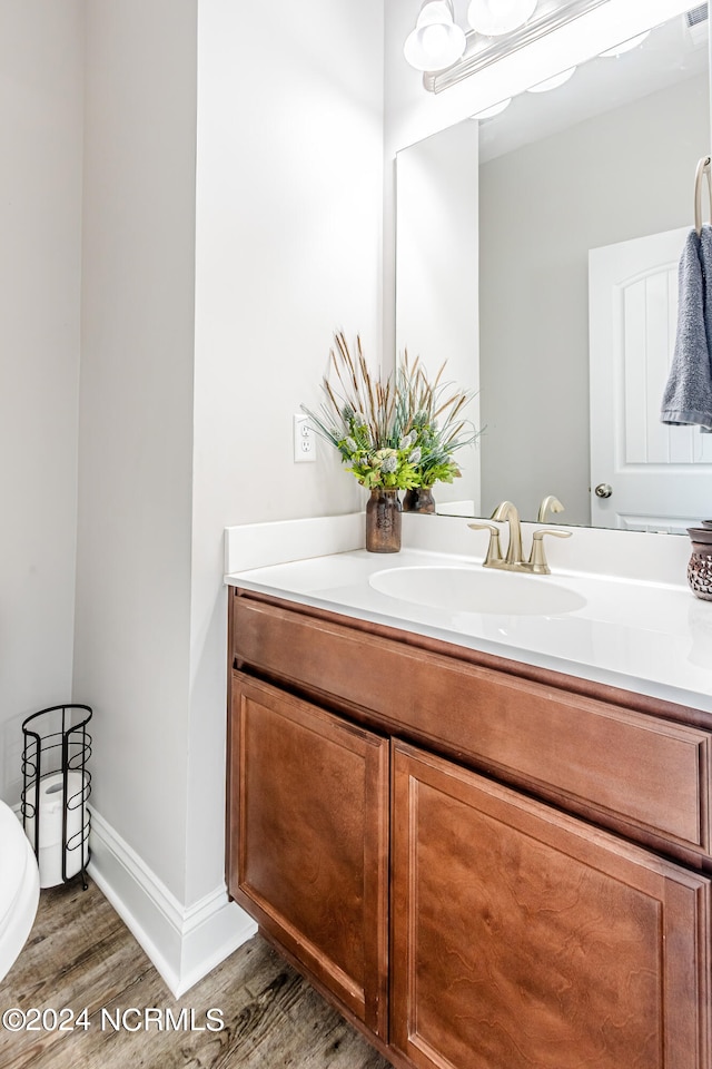 bathroom featuring hardwood / wood-style floors and vanity