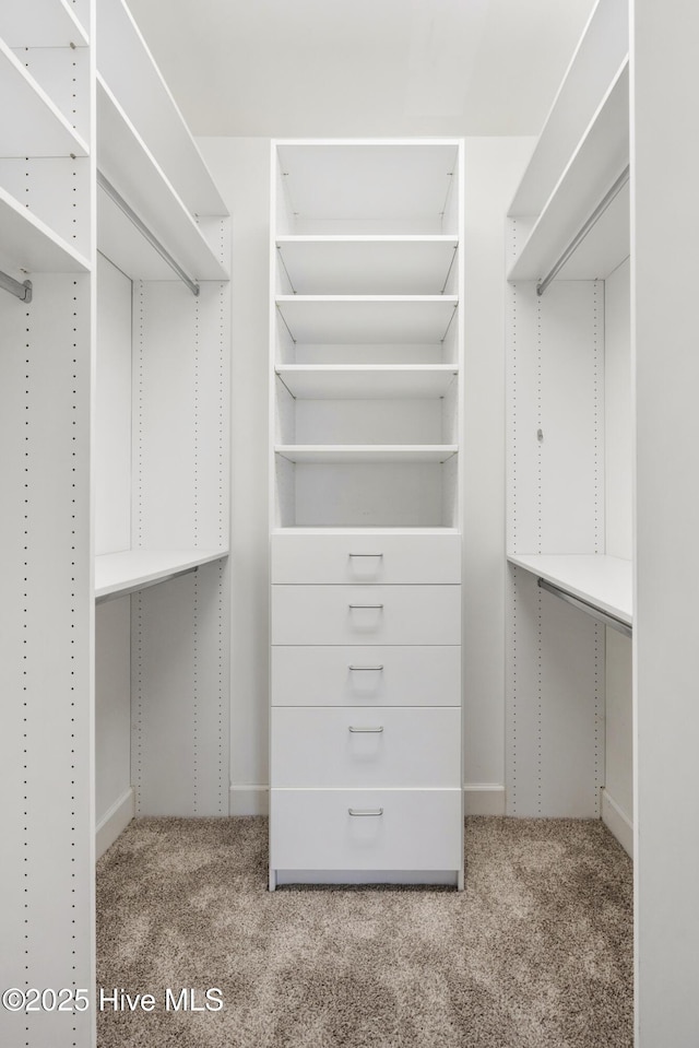 spacious closet featuring carpet floors