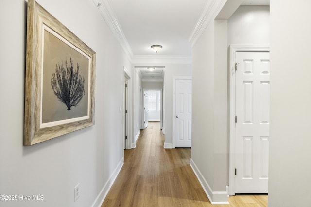 hall featuring crown molding and light wood-type flooring