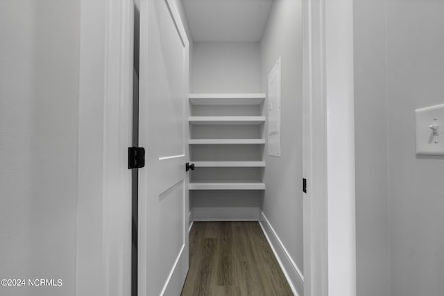 walk in closet featuring dark wood-type flooring