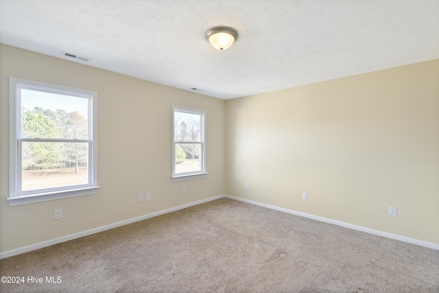 unfurnished room with carpet flooring and a textured ceiling