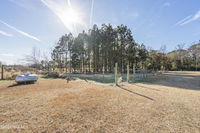 view of yard featuring a rural view