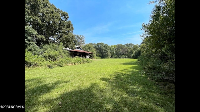 view of yard featuring a wooded view