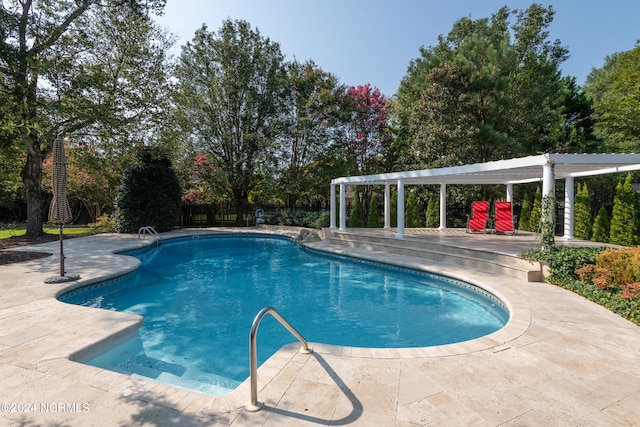 view of pool with a patio area and a pergola