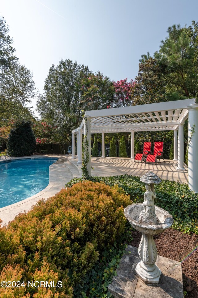 view of pool with a patio area and a pergola