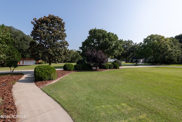 surrounding community with a lawn