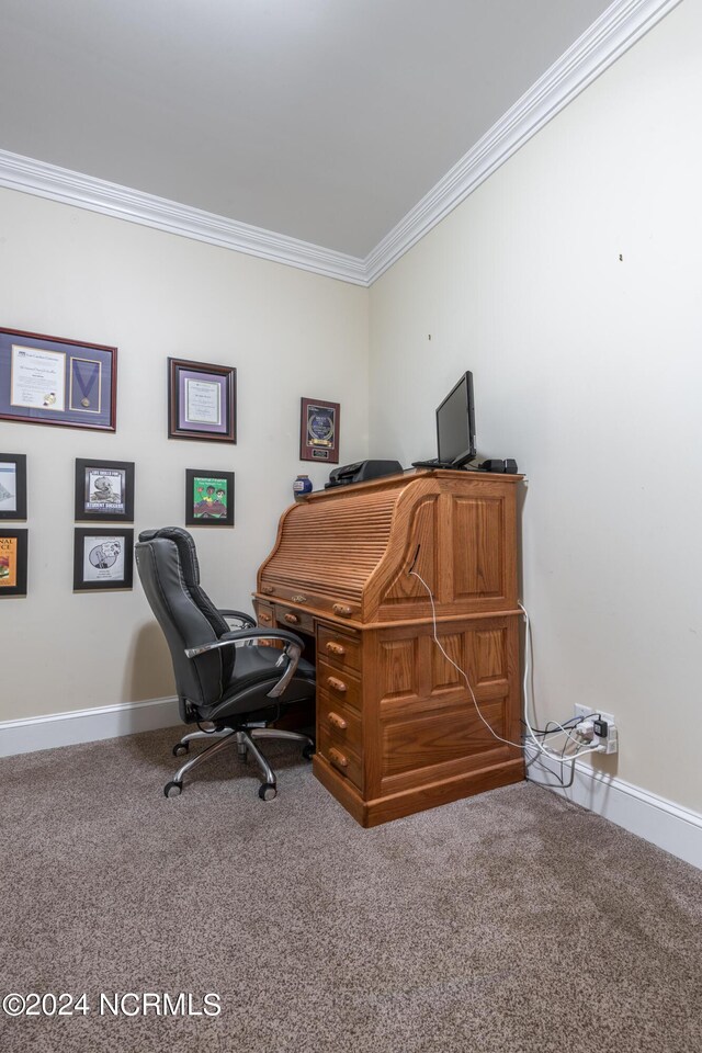 home office featuring crown molding and carpet floors