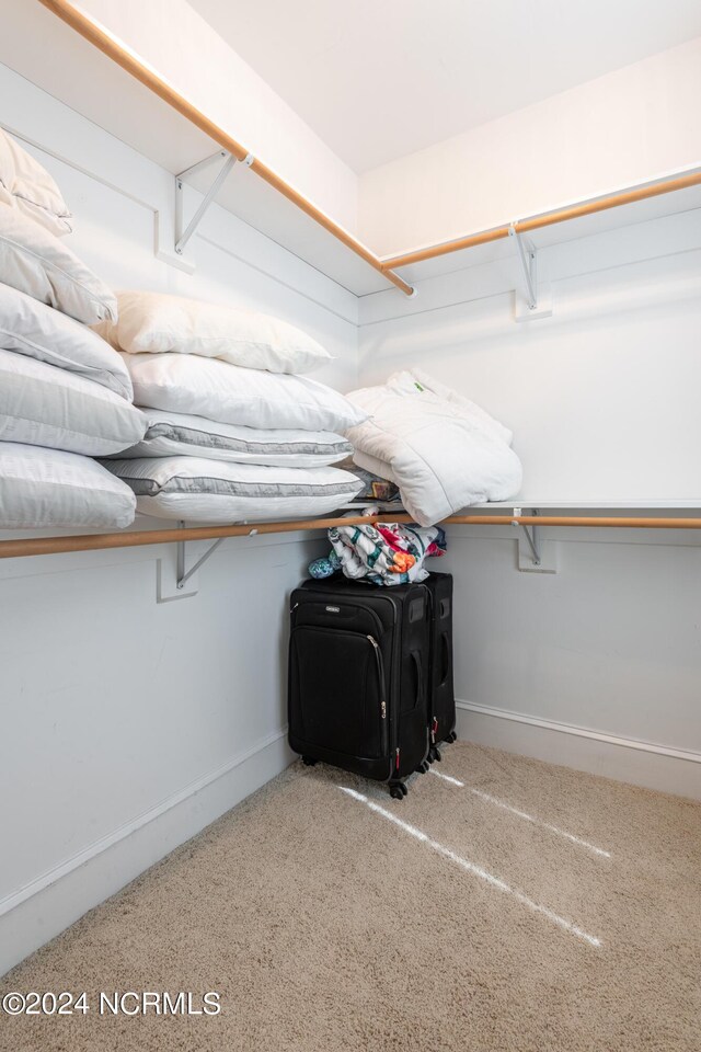 walk in closet featuring carpet