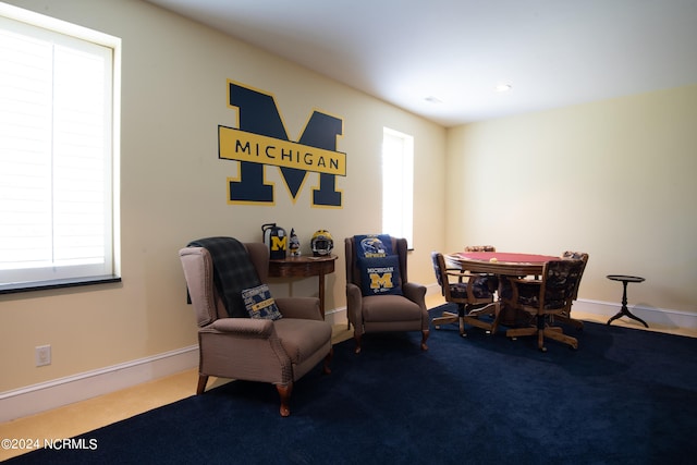 sitting room featuring carpet