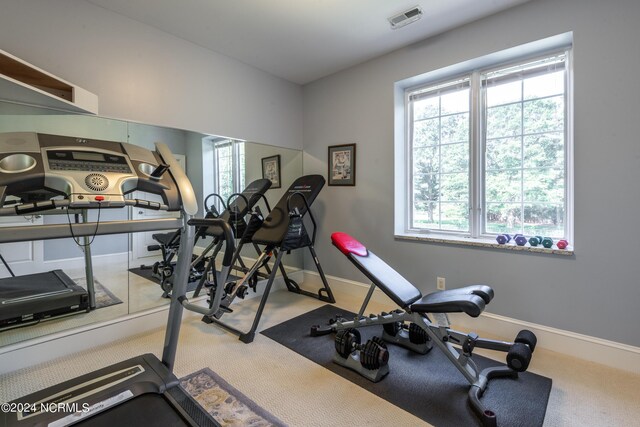 workout room featuring a healthy amount of sunlight and carpet flooring