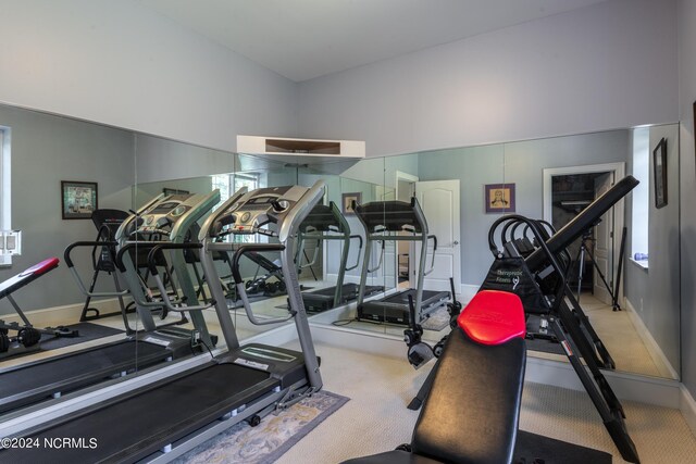 exercise room with a high ceiling and carpet floors