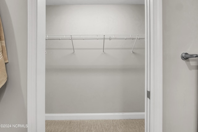 view of closet