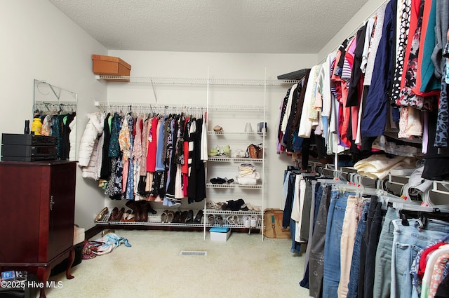 walk in closet featuring carpet flooring