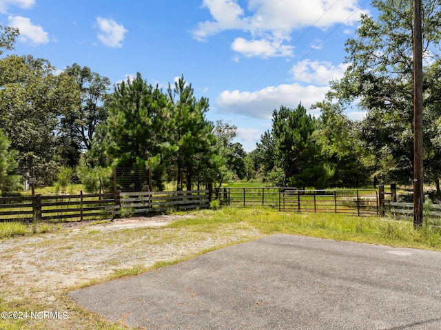 1185 Buckle Rd, Currie NC, 28435 land for sale