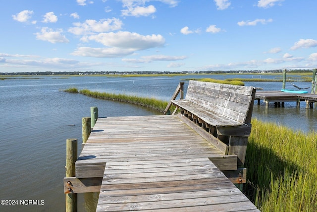 dock area with a water view