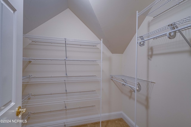 view of walk in closet